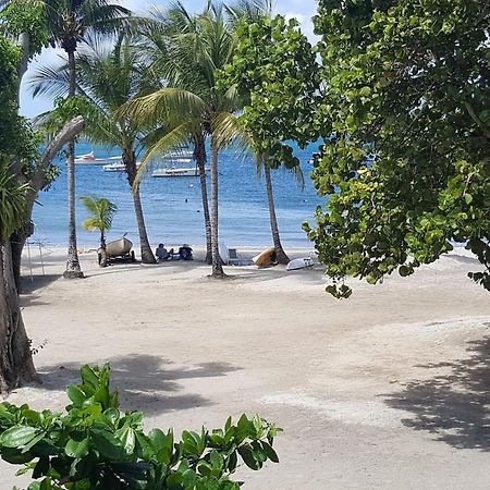 Chambre Chez L Habitant Sur La Plage Les Pieds Dans L Eau, Wifi Quartiers Anse a l'Ane ภายนอก รูปภาพ
